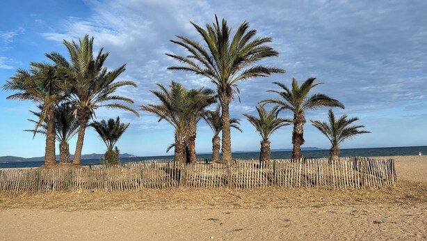 A sandy beach with palm trees and a wooden fence. - Bright apartment for a pleasant stay in Hyères (Hyères)