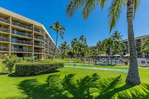 Condo, 2 Bedrooms | Sports court - Maui Sunset B217 2 Bedroom Condo (Kihei)