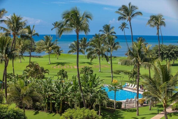 Condo, 2 Bedrooms | Pool - Maui Sunset B217 2 Bedroom Condo (Kihei)