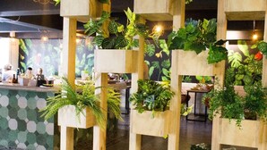 Interior de restaurante con macetas de madera que contienen diversas plantas verdes.
