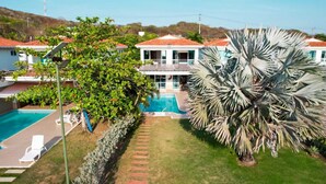 Blick auf ein modernes Haus mit Schwimmbad, einen gepflegten Rasen und eine große Palme.