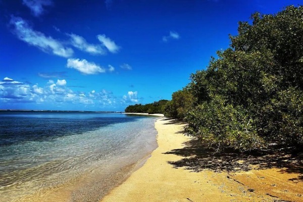 Strand