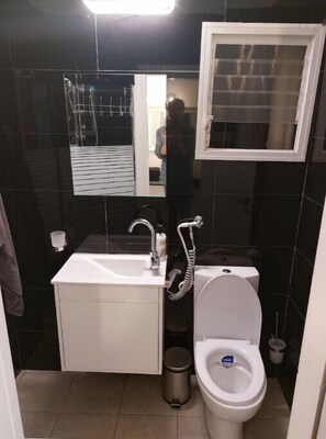 Bathroom features a sink, toilet, and mirror with a soap dispenser.