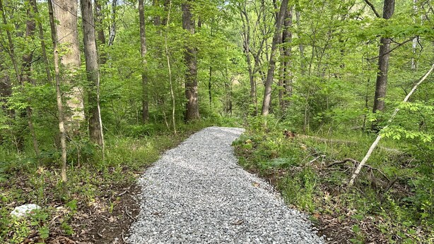 Un sendero de grava que atraviesa un bosque con árboles altos y follaje denso.
