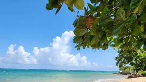 A beach with clear turquoise water, sandy shore, and green foliage overhead. - Aquatika Happy Place *pools and beach access* (Medianía Alta)