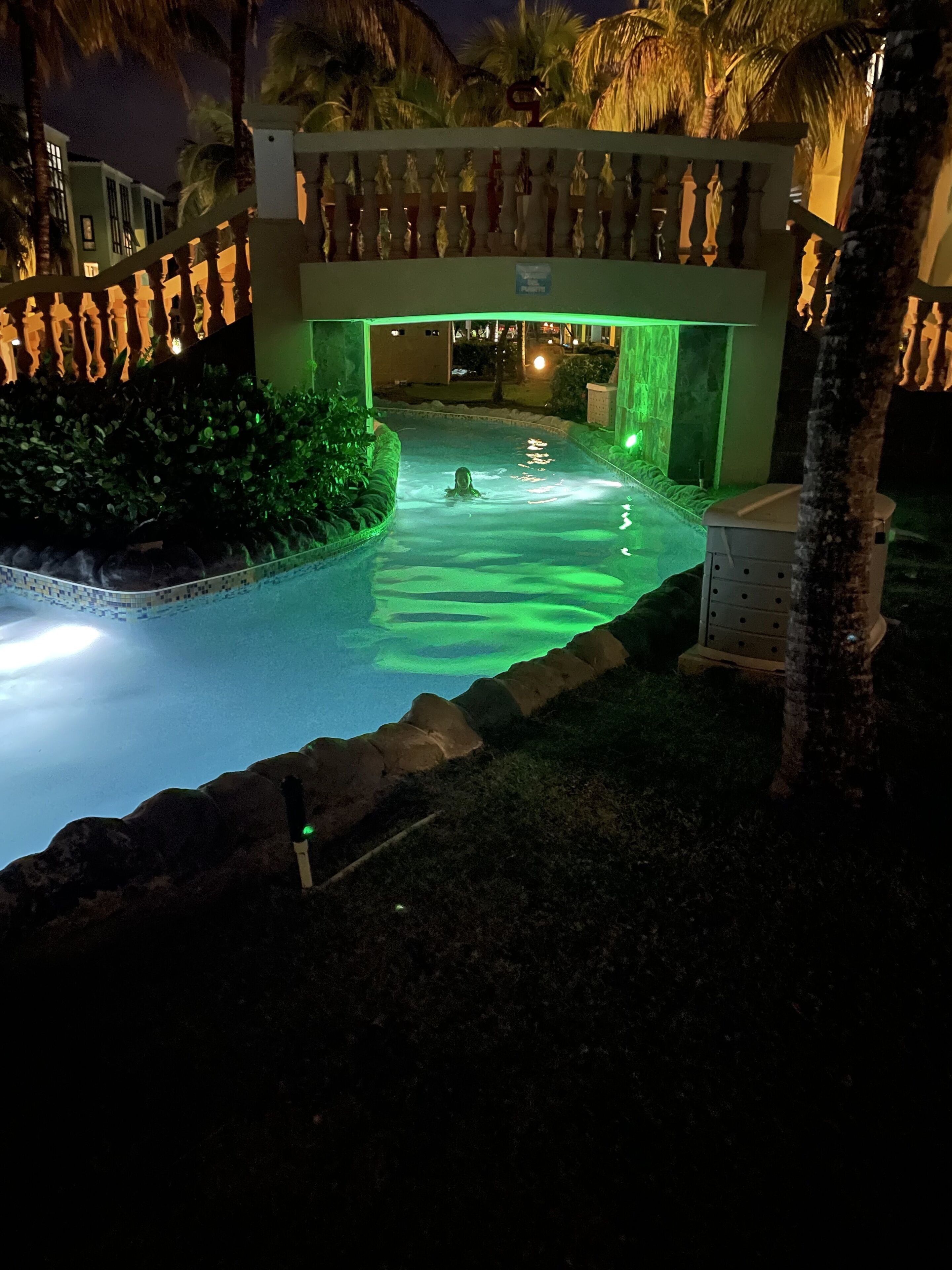 A swimming pool with a stone wall and palm trees, surrounded by greenery.