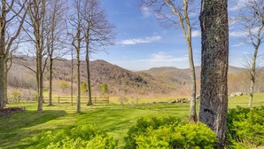 A grassy field with trees and a wooden fence.