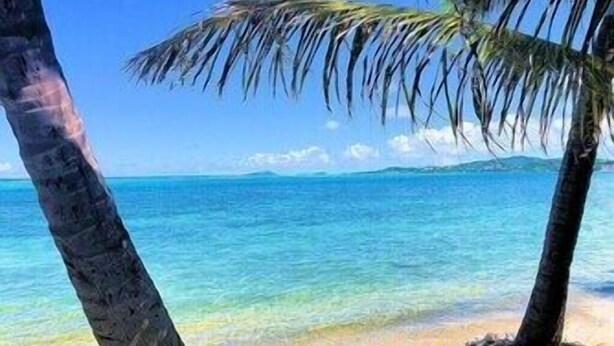 Una playa con agua turquesa cristalina y palmeras.