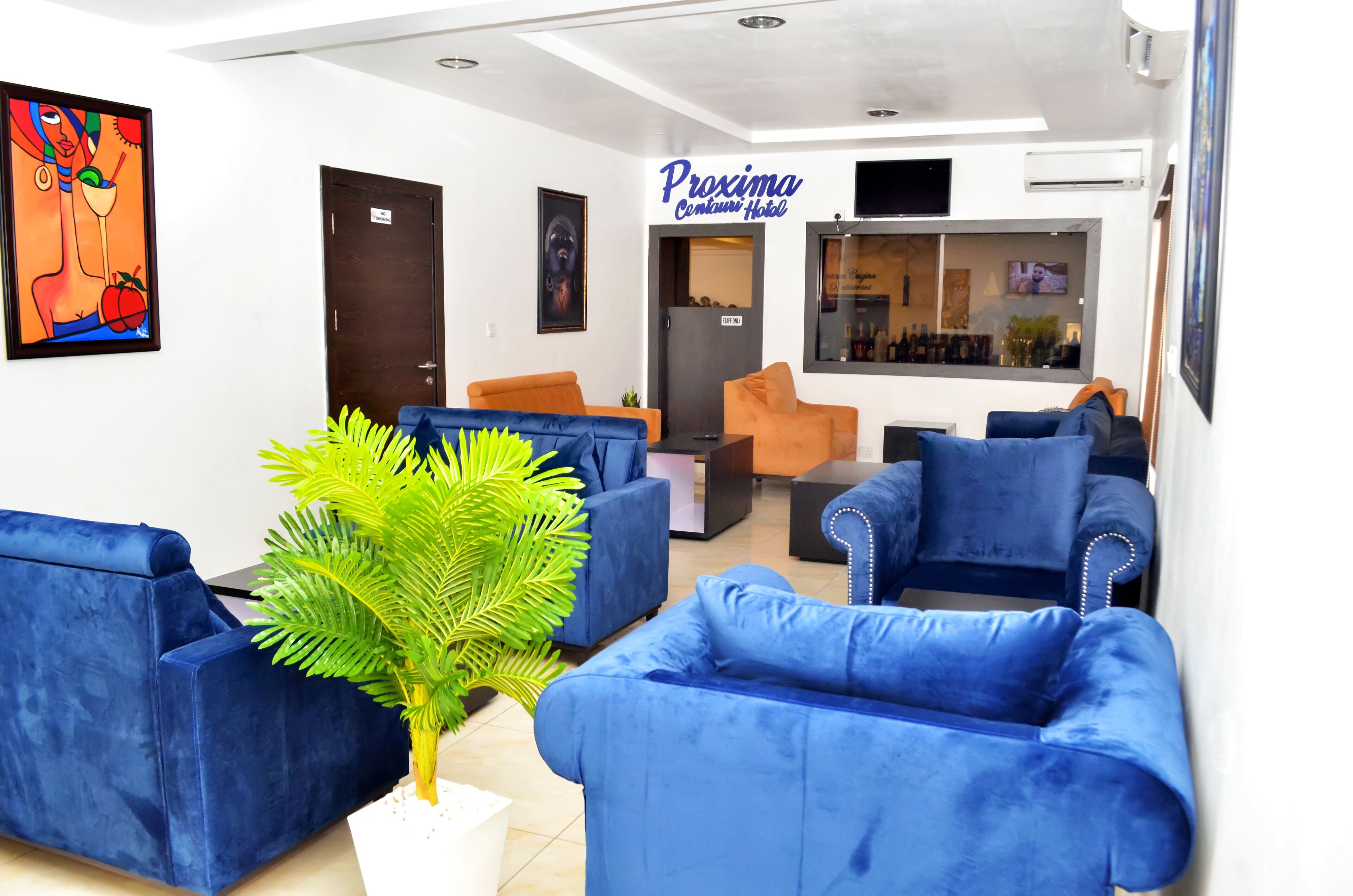 A hotel lobby with blue sofas, a large potted plant, and a sign for 'Proxima Contini Hotel'.