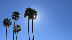 A clear blue sky, a swimming pool with lounge chairs, and palm trees. - Palm Springs, Greenhouse East!  2 Bdrs/2 Baths/ 25 Yard pool/Amazing location! (Palm Springs)