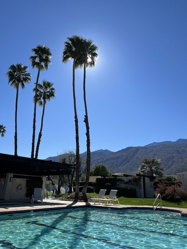 A clear blue sky, a swimming pool with lounge chairs, and palm trees. - Palm Springs, Greenhouse East! 2 Bdrs/2 Baths/ 25 Yard pool/Amazing location! (Palm Springs)