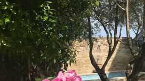 Un jardin avec des fleurs roses et un mur de pierre en arrière-plan.