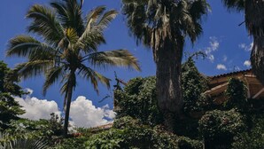 A wooden pathway leading up a brick staircase surrounded by lush greenery and palm trees. - HOTEL KALMA  (Santa Fe de Antioquia)