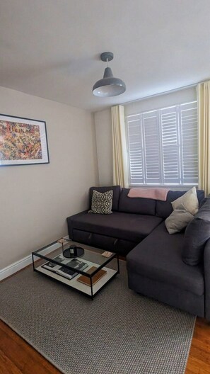 TV, books, computer monitors - Modern Flat nr Waterloo, Sleeps 4, Free Parking (London)