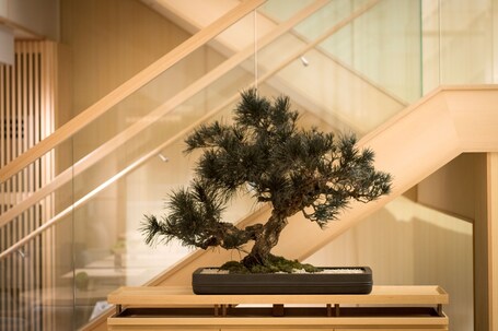 DoubleTree by Hilton Kyoto Higashiyama - Image 53