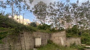 Un área de estar al aire libre con una mesa redonda de madera y cuatro sillas, rodeada por un muro de concreto y follaje.