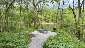 A gravel path leading to a bench by a lake surrounded by dense greenery.