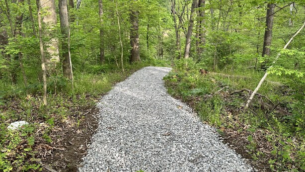 A gravel path in a forested area.