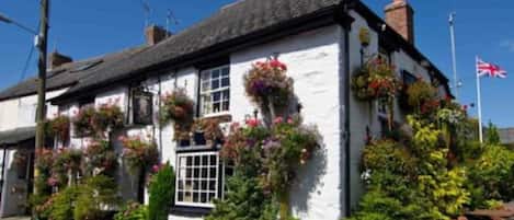 A traditional white building with multiple windows, some with hanging flower baskets.