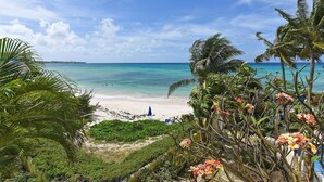 A beach with clear turquoise water, palm trees, and a sandy shore.