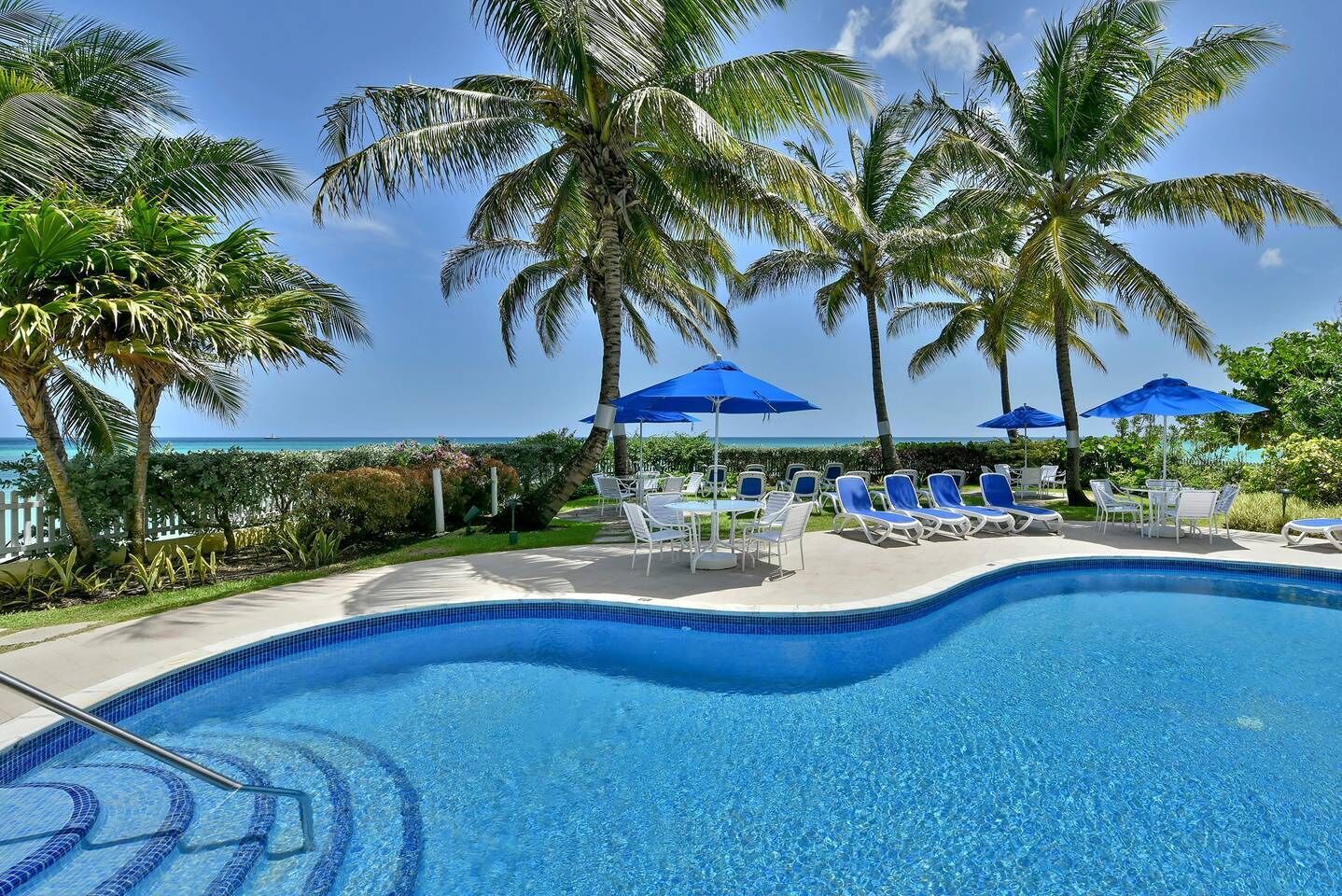 A swimming pool with lounge chairs and umbrellas, surrounded by palm trees and a view of the ocean.