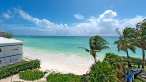 A beach view with a clear sky, a sandy beach, and palm trees.