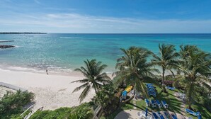 Une vue sur la plage, avec un ciel dégagé, un rivage sablonneux et des palmiers.
