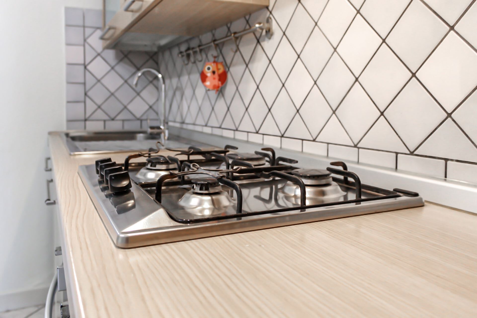 Fridge, oven, cookware/dishes/utensils