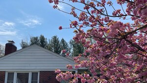 A brick house with a green door and a window. - Lynchburg Family Living - close to Liberty University and dining options (Lynchburg)
