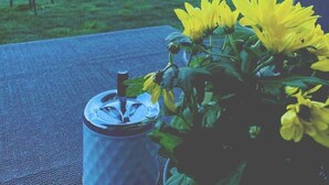 En trädgård med utsikt, ett bord, en metallbehållare och gula blommor.