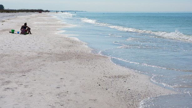 Una platja amb una persona asseguda a la sorra, un gabella verd i un gabella blau.