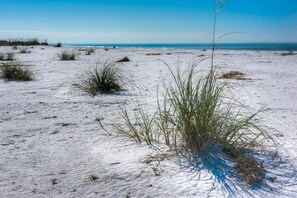 On the beach - Beach Front Home with Direct Access to Beach and Beautiful Sunset Views (Anna Maria)