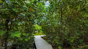 A wooden pathway through dense foliage leading to a structure. - Canal Front Home with Dock, Saltwater Pool, Ping Pong - Ama Maria (Anna Maria)