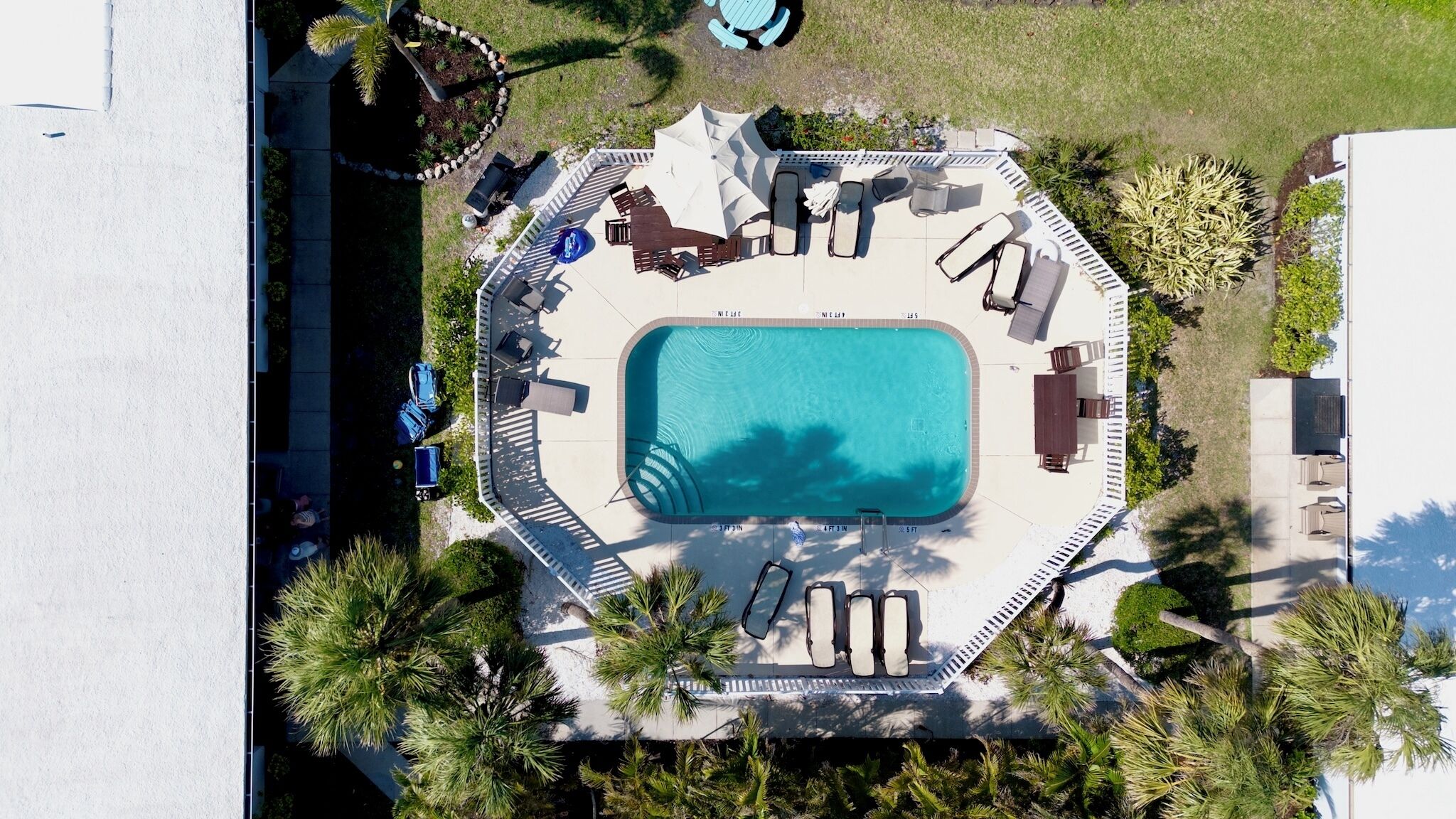 An aerial view of a rectangular swimming pool surrounded by lounge chairs and umbrellas, with a small deck area and palm trees.