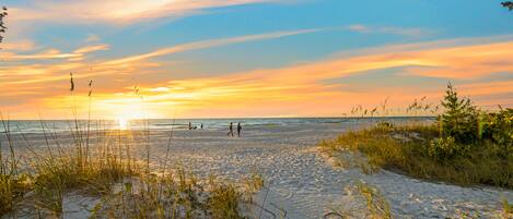Una playa con arena, hierba y un atardecer.