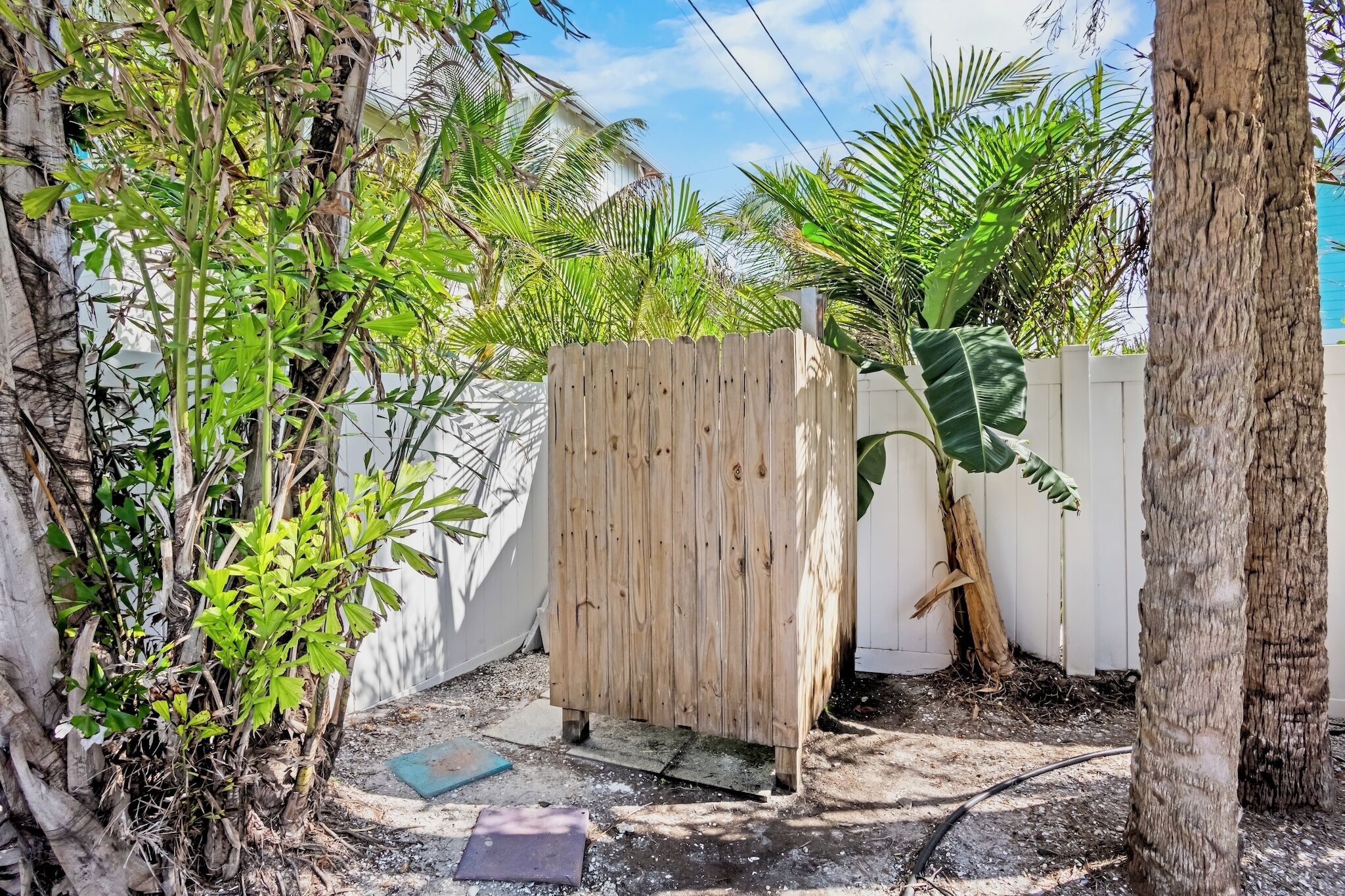 A wooden fence in a garden area with various plants and a tree trunk.