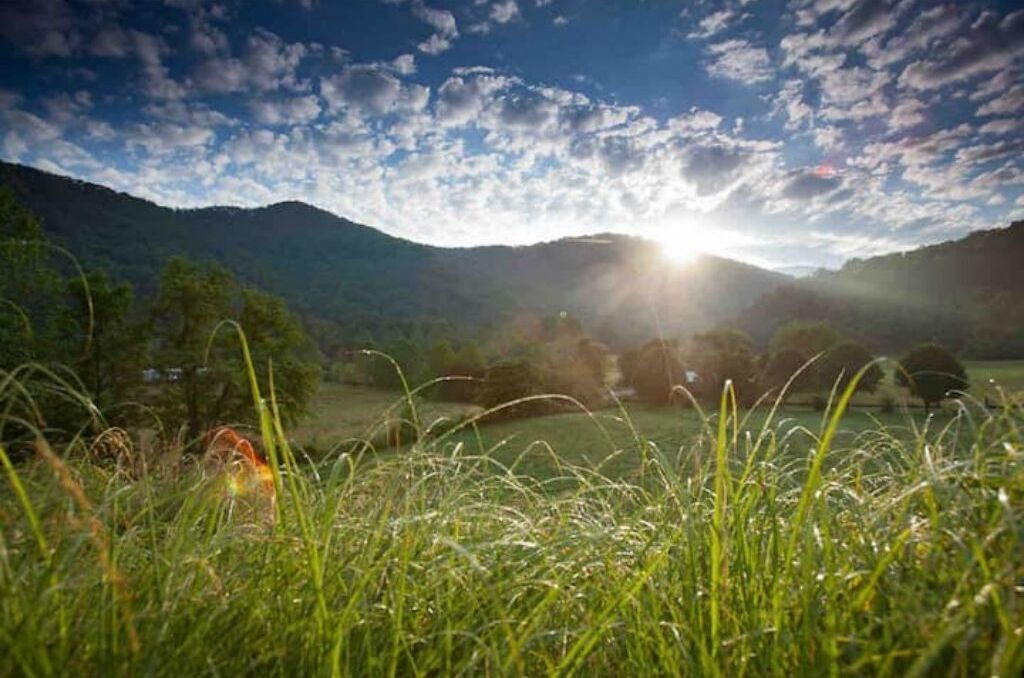Private Cabin: Mountain Views & Pond!🎣