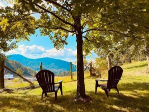 Property grounds - Private Cabin: Mountain Views & Pond!🎣 (Barnardsville)