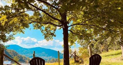 Private Cabin: Mountain Views & Pond!🎣