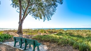 A bench under a tree by the beach with a clear view of the ocean.