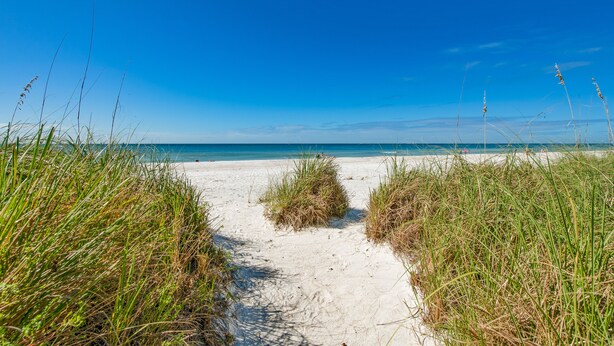 A sandy beach path with tall grass on either side, leading to the ocean.