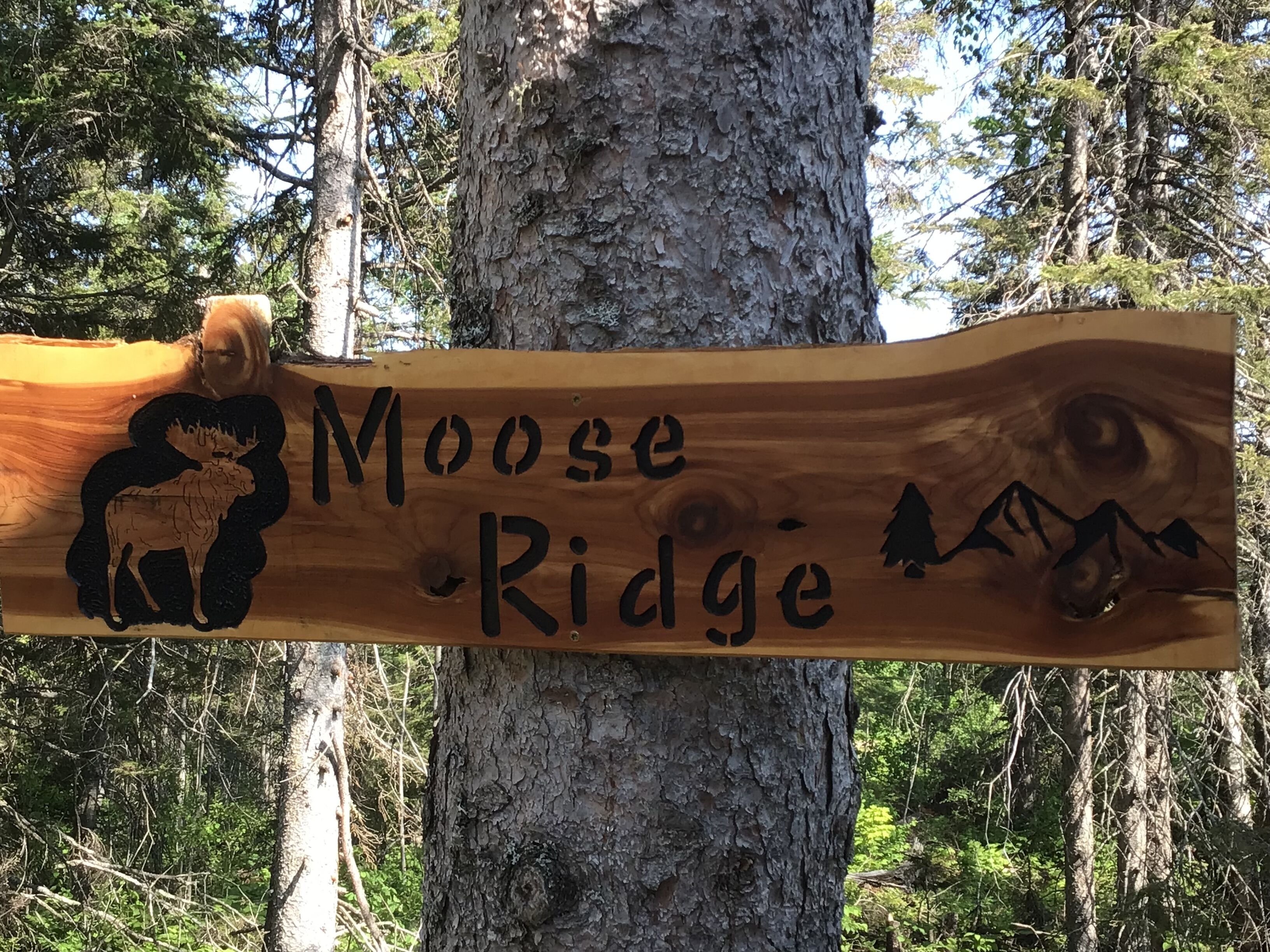 Moose Ridge Lutsen