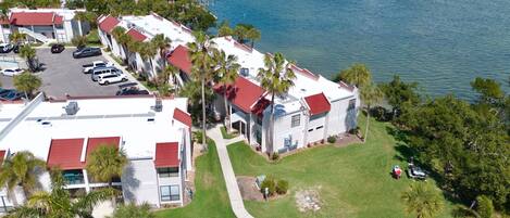 An aerial view of a coastal residential area with houses featuring red roofs, surrounded by palm trees and a body of water.
