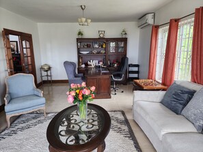 Smart TV, computer monitors, printers - Upscale, Large country estate overlooking Spring Valley & the Caribbean Sea (Tower Isle)