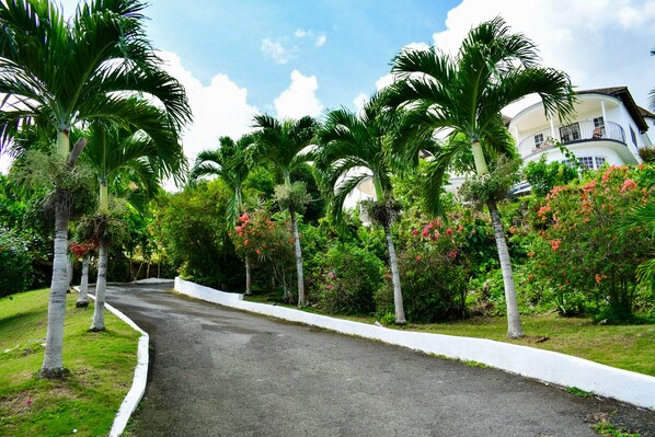 Property grounds - Upscale, Large country estate overlooking Spring Valley & the Caribbean Sea (Tower Isle)