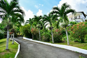 Property grounds - Upscale, Large country estate overlooking Spring Valley & the Caribbean Sea (Tower Isle)