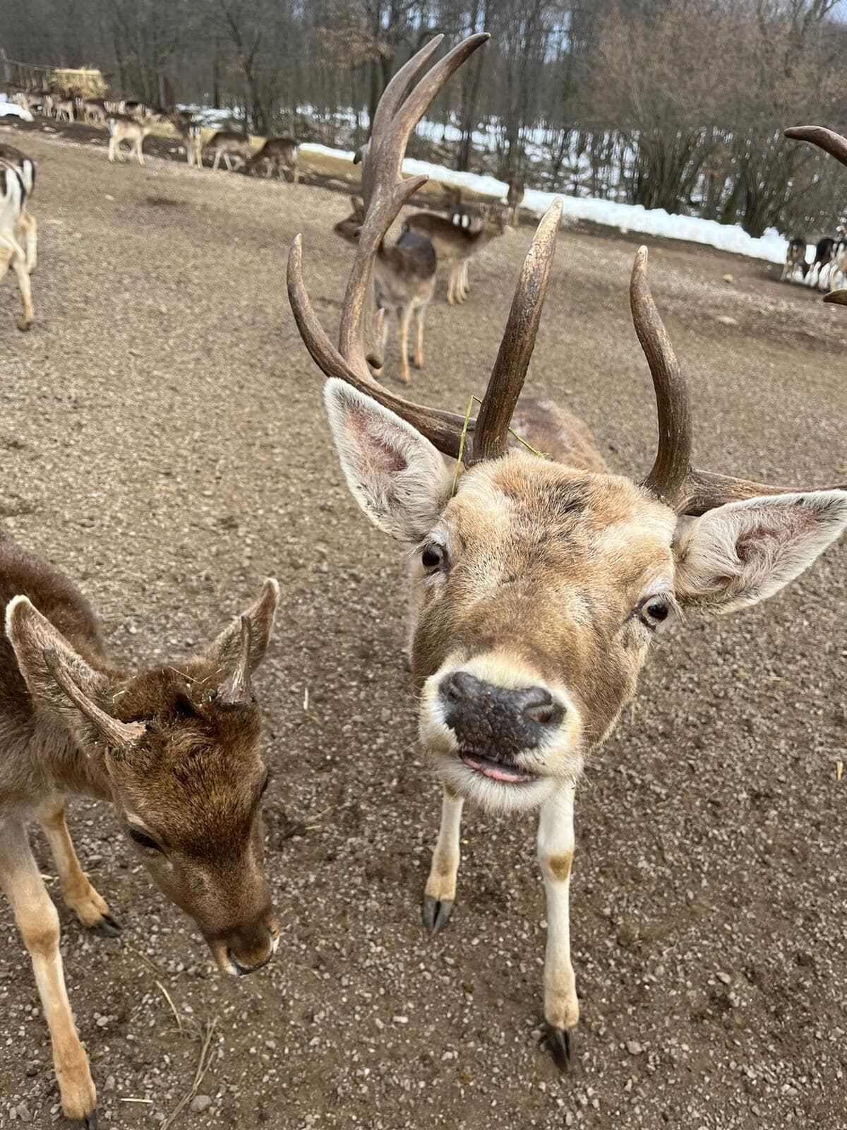 Värdens profilbild