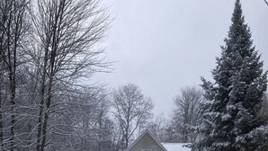 Une maison à deux étages, avec une allée enneigée et des arbres tout autour.