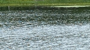 A house by a lake with a dock extending into the water. - Arrowhead Lake Camp - Black Bear Lodge Lake View (Lupton)