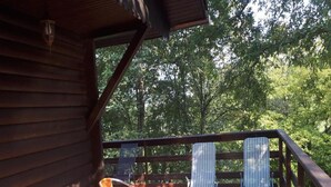 Unclassified image, 5 of 26, button - Holiday Home Mreznica (Duga Resa)